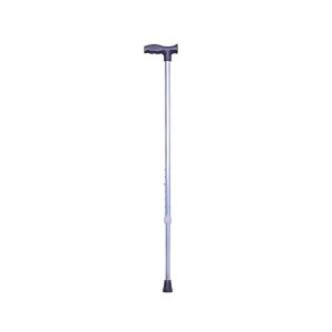 SUPPORT WALKING STICK